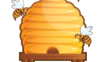 produit-apiculture